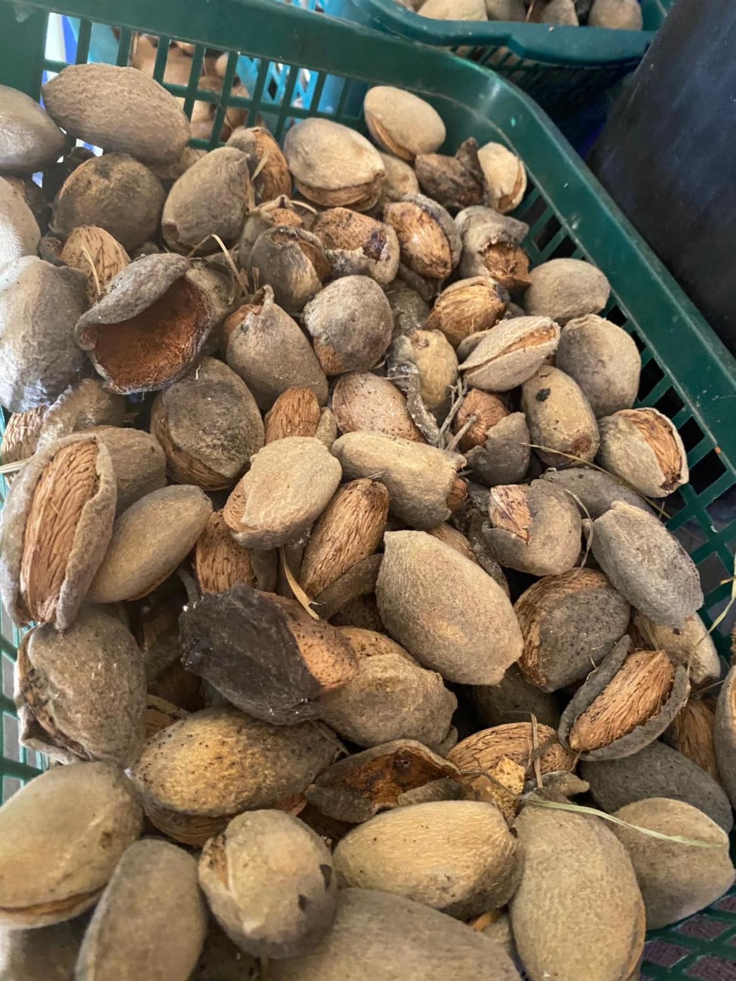 艾吉瑞拉蒙特嘉登酒店 锡拉库扎 外观 照片